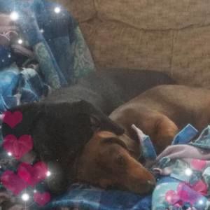 Meet your Posher, Linda